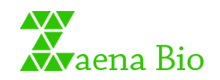 zaenabio